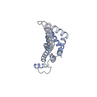 31006_7e80_z_v1-3
Cryo-EM structure of the flagellar rod with hook and export apparatus from Salmonella