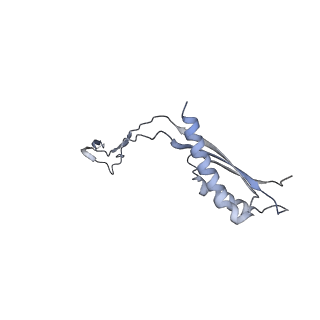 31007_7e81_Ca_v1-3
Cryo-EM structure of the flagellar MS ring with FlgB-Dc loop and FliE-helix 1 from Salmonella