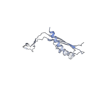 31007_7e81_Cb_v1-3
Cryo-EM structure of the flagellar MS ring with FlgB-Dc loop and FliE-helix 1 from Salmonella