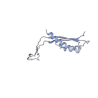 31007_7e81_Cd_v1-3
Cryo-EM structure of the flagellar MS ring with FlgB-Dc loop and FliE-helix 1 from Salmonella