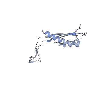 31007_7e81_Ce_v1-3
Cryo-EM structure of the flagellar MS ring with FlgB-Dc loop and FliE-helix 1 from Salmonella