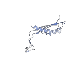 31007_7e81_Cf_v1-3
Cryo-EM structure of the flagellar MS ring with FlgB-Dc loop and FliE-helix 1 from Salmonella