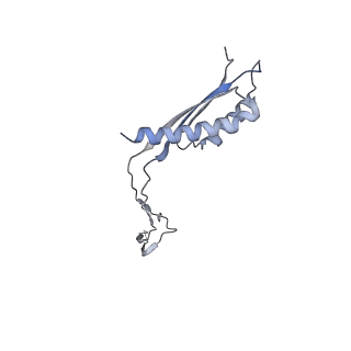 31007_7e81_Ch_v1-2
Cryo-EM structure of the flagellar MS ring with FlgB-Dc loop and FliE-helix 1 from Salmonella