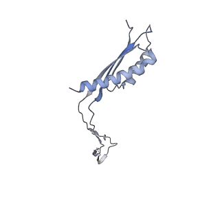 31007_7e81_Ci_v1-2
Cryo-EM structure of the flagellar MS ring with FlgB-Dc loop and FliE-helix 1 from Salmonella