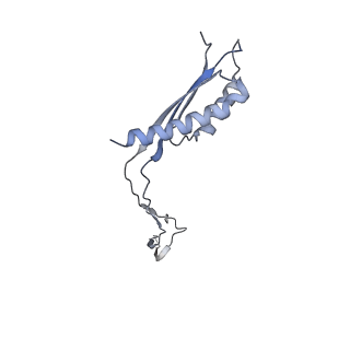 31007_7e81_Ci_v1-3
Cryo-EM structure of the flagellar MS ring with FlgB-Dc loop and FliE-helix 1 from Salmonella