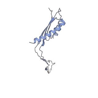 31007_7e81_Cj_v1-3
Cryo-EM structure of the flagellar MS ring with FlgB-Dc loop and FliE-helix 1 from Salmonella