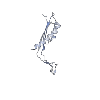 31007_7e81_Ck_v1-3
Cryo-EM structure of the flagellar MS ring with FlgB-Dc loop and FliE-helix 1 from Salmonella