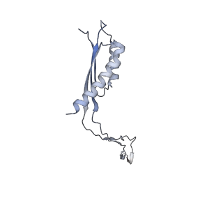 31007_7e81_Cl_v1-2
Cryo-EM structure of the flagellar MS ring with FlgB-Dc loop and FliE-helix 1 from Salmonella