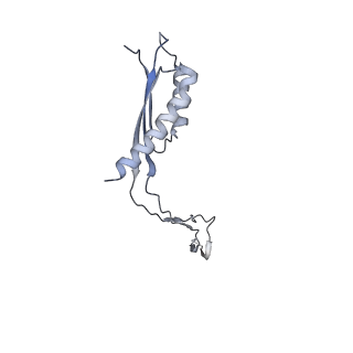 31007_7e81_Cl_v1-3
Cryo-EM structure of the flagellar MS ring with FlgB-Dc loop and FliE-helix 1 from Salmonella