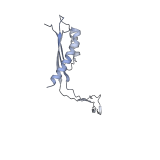 31007_7e81_Cm_v1-3
Cryo-EM structure of the flagellar MS ring with FlgB-Dc loop and FliE-helix 1 from Salmonella