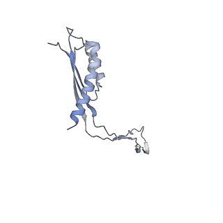 31007_7e81_Cn_v1-3
Cryo-EM structure of the flagellar MS ring with FlgB-Dc loop and FliE-helix 1 from Salmonella