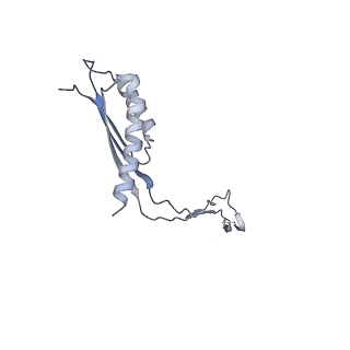 31007_7e81_Co_v1-2
Cryo-EM structure of the flagellar MS ring with FlgB-Dc loop and FliE-helix 1 from Salmonella