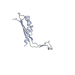 31007_7e81_Co_v1-3
Cryo-EM structure of the flagellar MS ring with FlgB-Dc loop and FliE-helix 1 from Salmonella