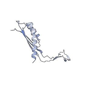 31007_7e81_Cp_v1-3
Cryo-EM structure of the flagellar MS ring with FlgB-Dc loop and FliE-helix 1 from Salmonella