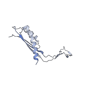 31007_7e81_Cq_v1-2
Cryo-EM structure of the flagellar MS ring with FlgB-Dc loop and FliE-helix 1 from Salmonella