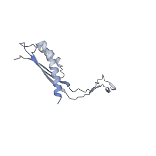 31007_7e81_Cq_v1-3
Cryo-EM structure of the flagellar MS ring with FlgB-Dc loop and FliE-helix 1 from Salmonella