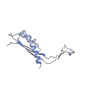 31007_7e81_Cr_v1-3
Cryo-EM structure of the flagellar MS ring with FlgB-Dc loop and FliE-helix 1 from Salmonella