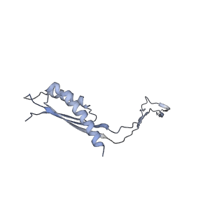 31007_7e81_Cs_v1-3
Cryo-EM structure of the flagellar MS ring with FlgB-Dc loop and FliE-helix 1 from Salmonella