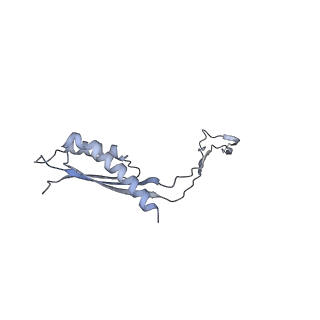 31007_7e81_Ct_v1-3
Cryo-EM structure of the flagellar MS ring with FlgB-Dc loop and FliE-helix 1 from Salmonella