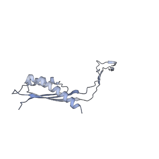 31007_7e81_Cu_v1-3
Cryo-EM structure of the flagellar MS ring with FlgB-Dc loop and FliE-helix 1 from Salmonella