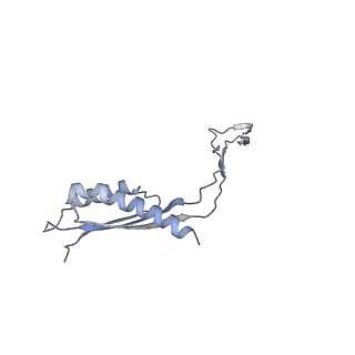 31007_7e81_Cv_v1-3
Cryo-EM structure of the flagellar MS ring with FlgB-Dc loop and FliE-helix 1 from Salmonella