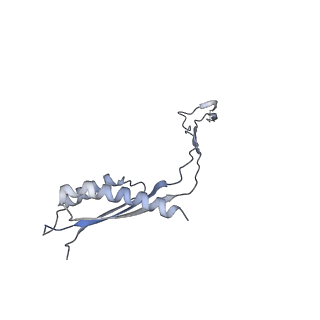 31007_7e81_Cw_v1-2
Cryo-EM structure of the flagellar MS ring with FlgB-Dc loop and FliE-helix 1 from Salmonella