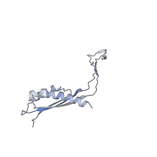 31007_7e81_Cw_v1-3
Cryo-EM structure of the flagellar MS ring with FlgB-Dc loop and FliE-helix 1 from Salmonella