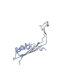31007_7e81_Cx_v1-2
Cryo-EM structure of the flagellar MS ring with FlgB-Dc loop and FliE-helix 1 from Salmonella