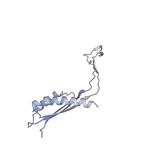 31007_7e81_Cx_v1-3
Cryo-EM structure of the flagellar MS ring with FlgB-Dc loop and FliE-helix 1 from Salmonella