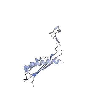 31007_7e81_Cy_v1-2
Cryo-EM structure of the flagellar MS ring with FlgB-Dc loop and FliE-helix 1 from Salmonella