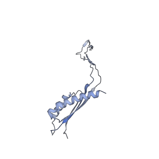 31007_7e81_Cz_v1-2
Cryo-EM structure of the flagellar MS ring with FlgB-Dc loop and FliE-helix 1 from Salmonella