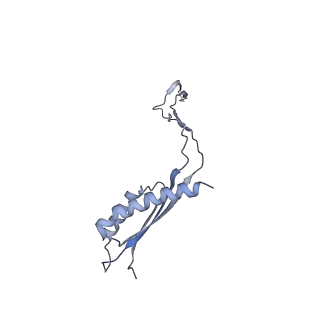 31007_7e81_Cz_v1-3
Cryo-EM structure of the flagellar MS ring with FlgB-Dc loop and FliE-helix 1 from Salmonella