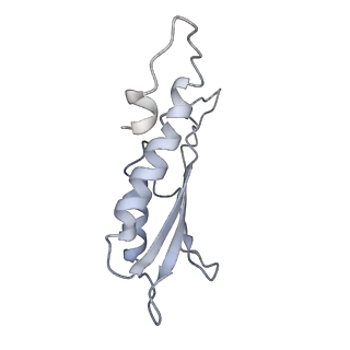 31007_7e81_Da_v1-3
Cryo-EM structure of the flagellar MS ring with FlgB-Dc loop and FliE-helix 1 from Salmonella