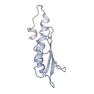 31007_7e81_Db_v1-2
Cryo-EM structure of the flagellar MS ring with FlgB-Dc loop and FliE-helix 1 from Salmonella