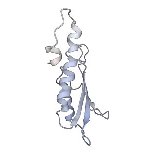 31007_7e81_Db_v1-3
Cryo-EM structure of the flagellar MS ring with FlgB-Dc loop and FliE-helix 1 from Salmonella