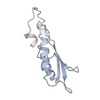 31007_7e81_Dc_v1-2
Cryo-EM structure of the flagellar MS ring with FlgB-Dc loop and FliE-helix 1 from Salmonella