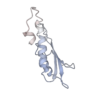 31007_7e81_Dc_v1-3
Cryo-EM structure of the flagellar MS ring with FlgB-Dc loop and FliE-helix 1 from Salmonella