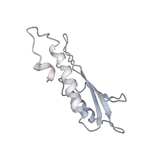 31007_7e81_Dd_v1-2
Cryo-EM structure of the flagellar MS ring with FlgB-Dc loop and FliE-helix 1 from Salmonella