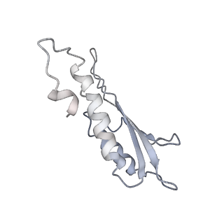 31007_7e81_Dd_v1-3
Cryo-EM structure of the flagellar MS ring with FlgB-Dc loop and FliE-helix 1 from Salmonella