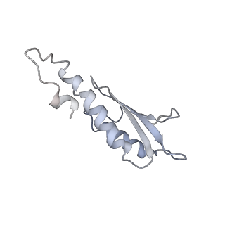 31007_7e81_De_v1-2
Cryo-EM structure of the flagellar MS ring with FlgB-Dc loop and FliE-helix 1 from Salmonella
