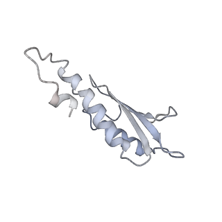 31007_7e81_De_v1-3
Cryo-EM structure of the flagellar MS ring with FlgB-Dc loop and FliE-helix 1 from Salmonella