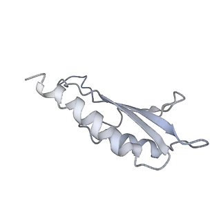 31007_7e81_Df_v1-3
Cryo-EM structure of the flagellar MS ring with FlgB-Dc loop and FliE-helix 1 from Salmonella