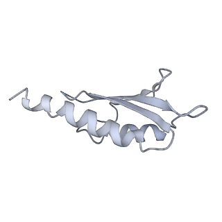 31007_7e81_Dg_v1-2
Cryo-EM structure of the flagellar MS ring with FlgB-Dc loop and FliE-helix 1 from Salmonella