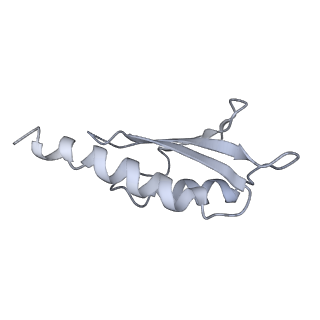 31007_7e81_Dg_v1-3
Cryo-EM structure of the flagellar MS ring with FlgB-Dc loop and FliE-helix 1 from Salmonella