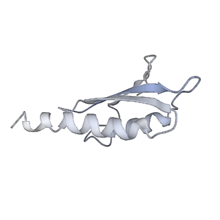 31007_7e81_Dh_v1-3
Cryo-EM structure of the flagellar MS ring with FlgB-Dc loop and FliE-helix 1 from Salmonella