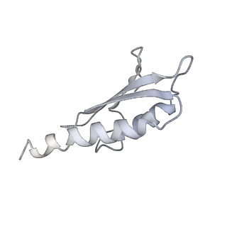 31007_7e81_Di_v1-2
Cryo-EM structure of the flagellar MS ring with FlgB-Dc loop and FliE-helix 1 from Salmonella