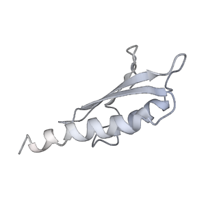 31007_7e81_Di_v1-3
Cryo-EM structure of the flagellar MS ring with FlgB-Dc loop and FliE-helix 1 from Salmonella