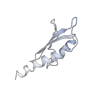 31007_7e81_Dj_v1-2
Cryo-EM structure of the flagellar MS ring with FlgB-Dc loop and FliE-helix 1 from Salmonella