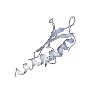 31007_7e81_Dj_v1-3
Cryo-EM structure of the flagellar MS ring with FlgB-Dc loop and FliE-helix 1 from Salmonella