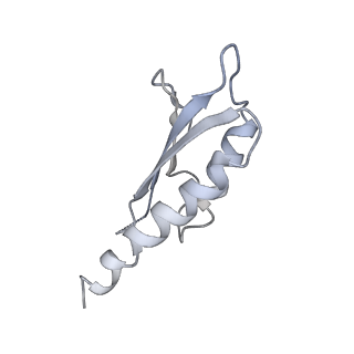 31007_7e81_Dk_v1-2
Cryo-EM structure of the flagellar MS ring with FlgB-Dc loop and FliE-helix 1 from Salmonella